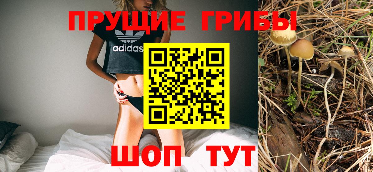 Галлюциногенные грибы Cubensis  Вход с VPN  Губкин 