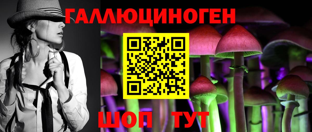 Галлюциногенные грибы прущие грибы Губкин